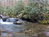 Little falls in Twin Creeks, Great Smoky Mountains National Park, 2014