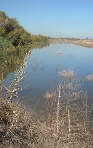 View of the restored San Joaquin River