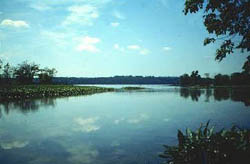 Chesapeake Bay