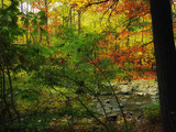 Cuyahoga Valley National Park