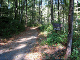 Shenandoah National Park