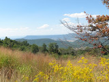 Shenandoah National Park