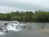 Katmai National Park