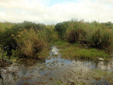 Everglades National Park