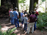 Redwood National Park