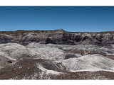 Petrified Forest National Park