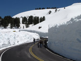 Kings Canyon National Park