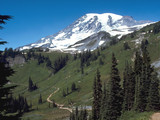 Mount Rainier