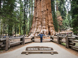 Sequoia National Park