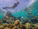 Snorkeling at the park, Dry Tortugas National Park, 2015