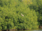 Everglades National Park