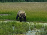 Lake Clark National Park