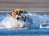 Katmai National Park