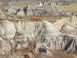 Petrified Forest National Park