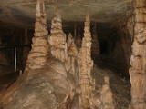 Mammoth Cave National Park