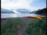 Kenai Fjords National Park