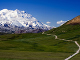 Denali National Park