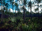 Everglades National Park