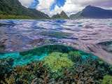 National Park of American Samoa