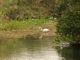 Everglades National Park