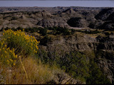 Wind Cave National Park