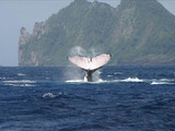 National Park of American Samoa