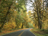 Olympic National Park