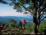 Shenandoah National Park