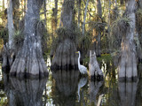 Everglades National Park