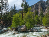 Kings Canyon National Park