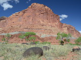 Capitol Reef National Park