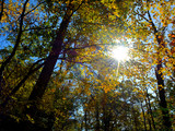 Shenandoah National Park