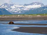 Kenai Fjords National Park