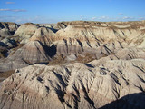 Petrified Forest National Park