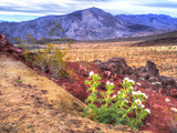 Death Valley National Park