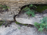 Carlsbad Caverns National Park