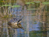 Everglades National Park