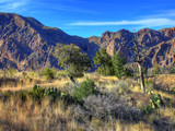 Big Bend National Park