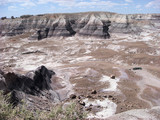 Petrified Forest National Park