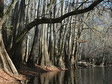 Congaree National Park