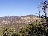 Saguaro National Park