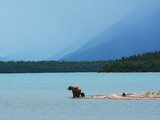 Katmai National Park