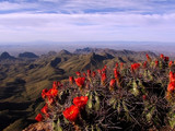 Big Bend National Park