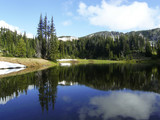 Mount Rainier National Park