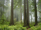 North Cascades National Park