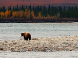 Kobuk Valley National Park