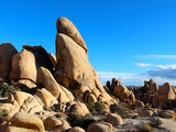 Joshua Tree National Park