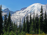 Mount Rainier National Park