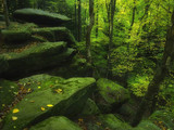 Cuyahoga Valley National Park