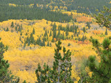 Rocky Mountain National Park